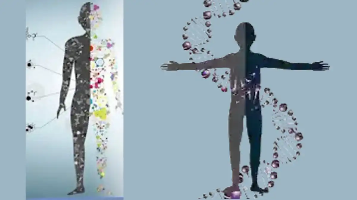 SCIENCE OF THE HUMAN BODY. BODY STRUCTURE AND COMPOSITION