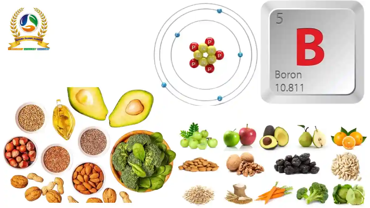 Boron & Dietary Fibre,
