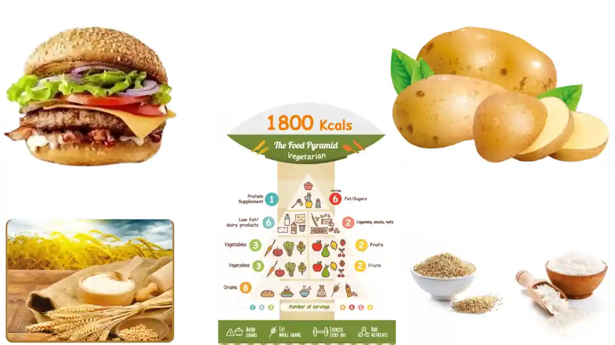 CARBOHYDRATES THE ENERGY-GIVING NUTRIENT