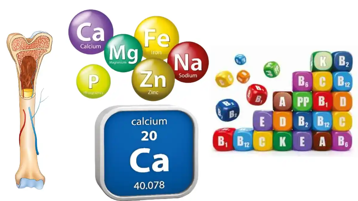 MINERALS Macro-minerals Calcium