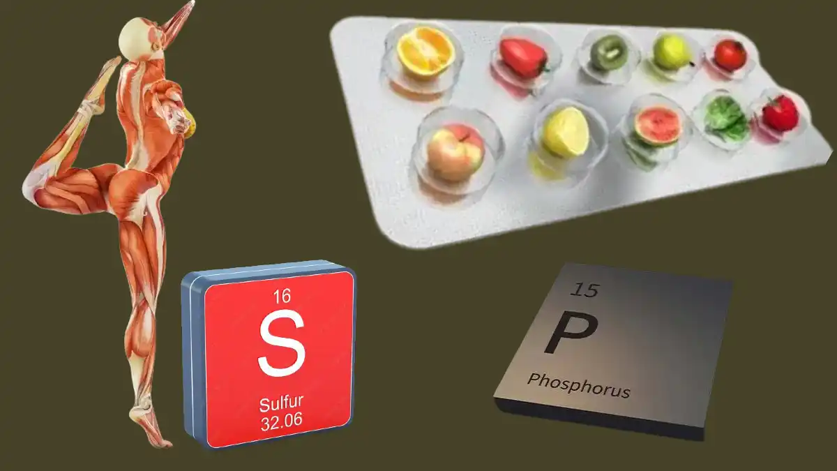 Phosphorus & Sulphur