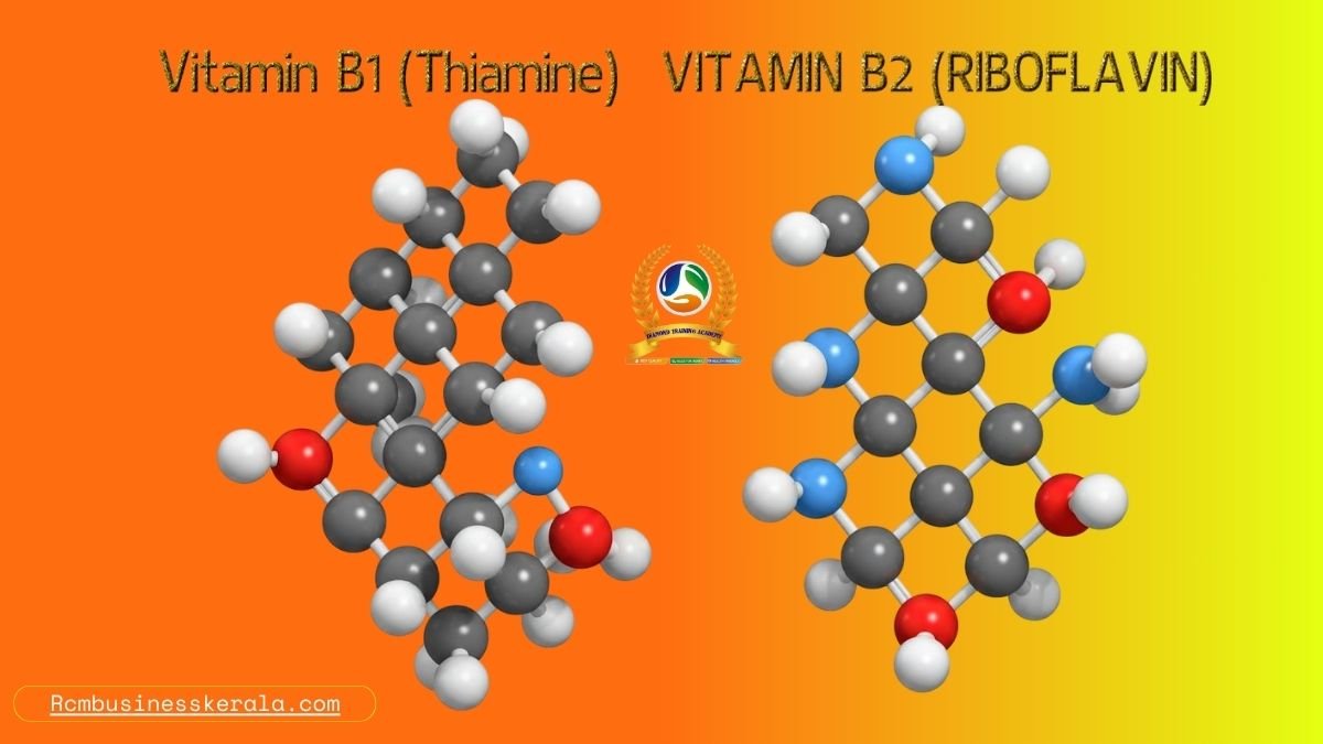 Vitamin B1 (Thiamine), VITAMIN B2 (RIBOFLAVIN)