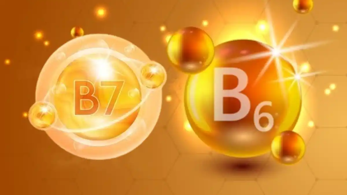 Vitamin B6 (Pyridoxine) & Vitamin B7 (Biotin)