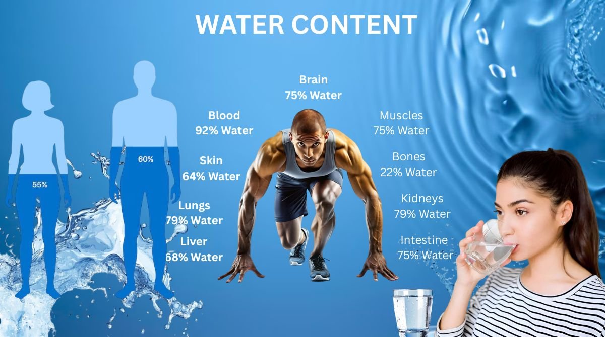 WATER CONTENT