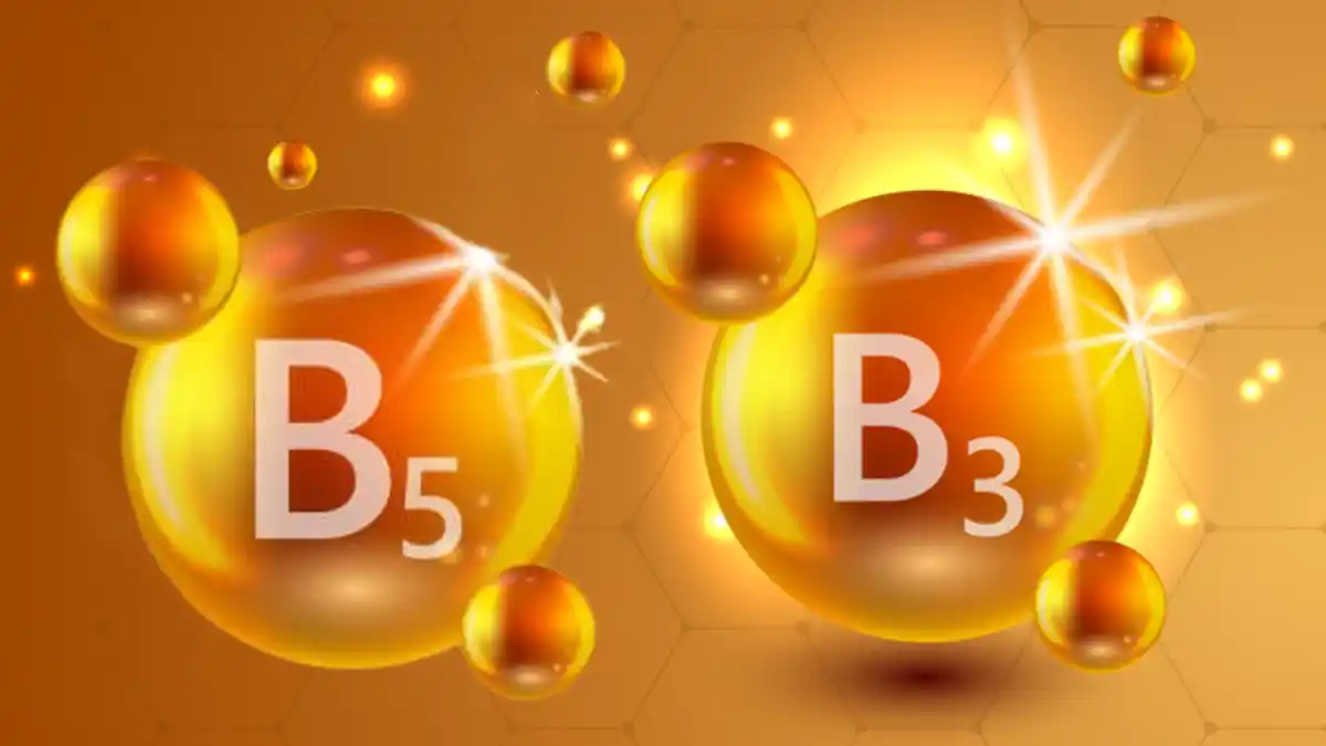vitamin b3 b5 Vitamin B3 (Niacin) & Vitamin B5