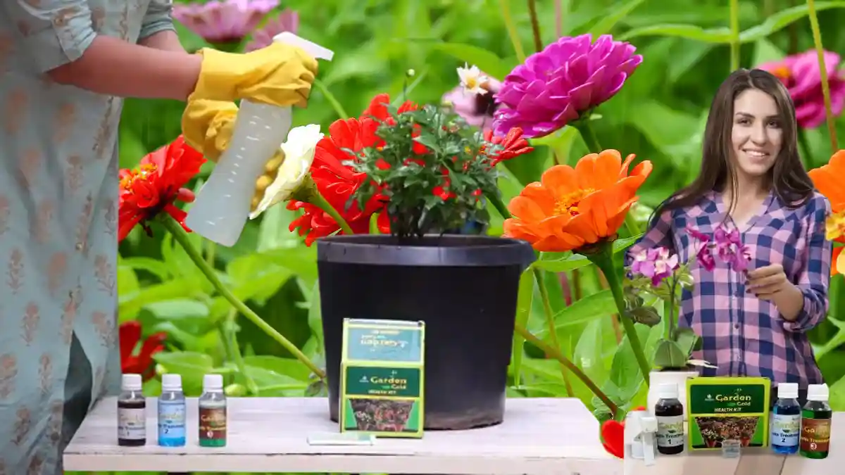 Harit Sanjivani Garden Gold Health Kit